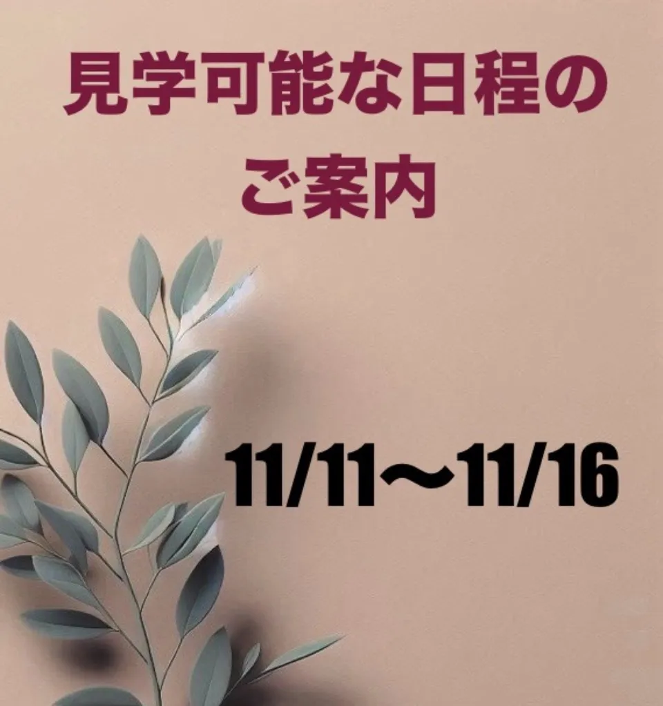 【出雲市の子ども英語教室ドリーム塾】11/11～11/16のスケジュール【保育園児、小学生、中学生が通う】