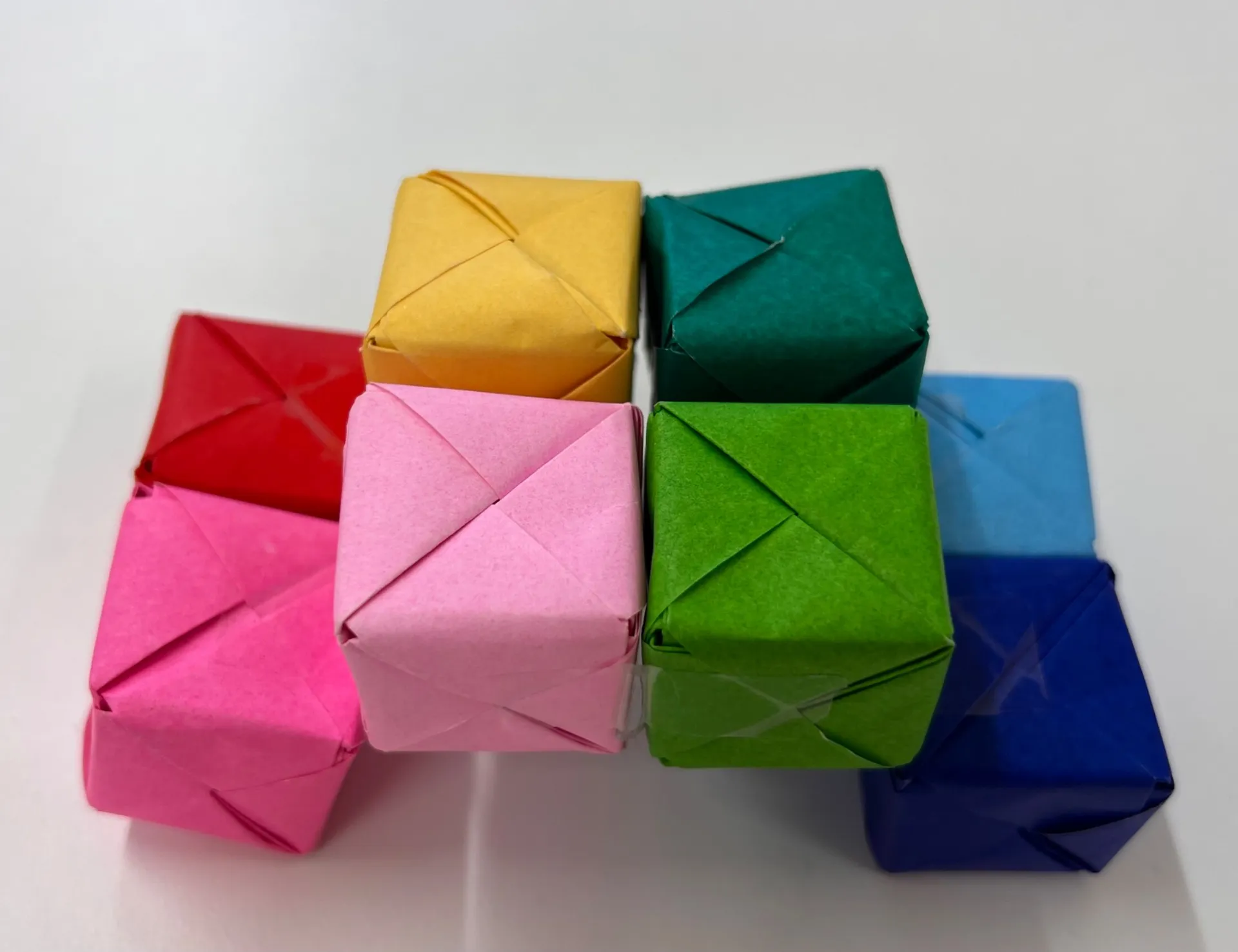 2024年度　小学６年生から