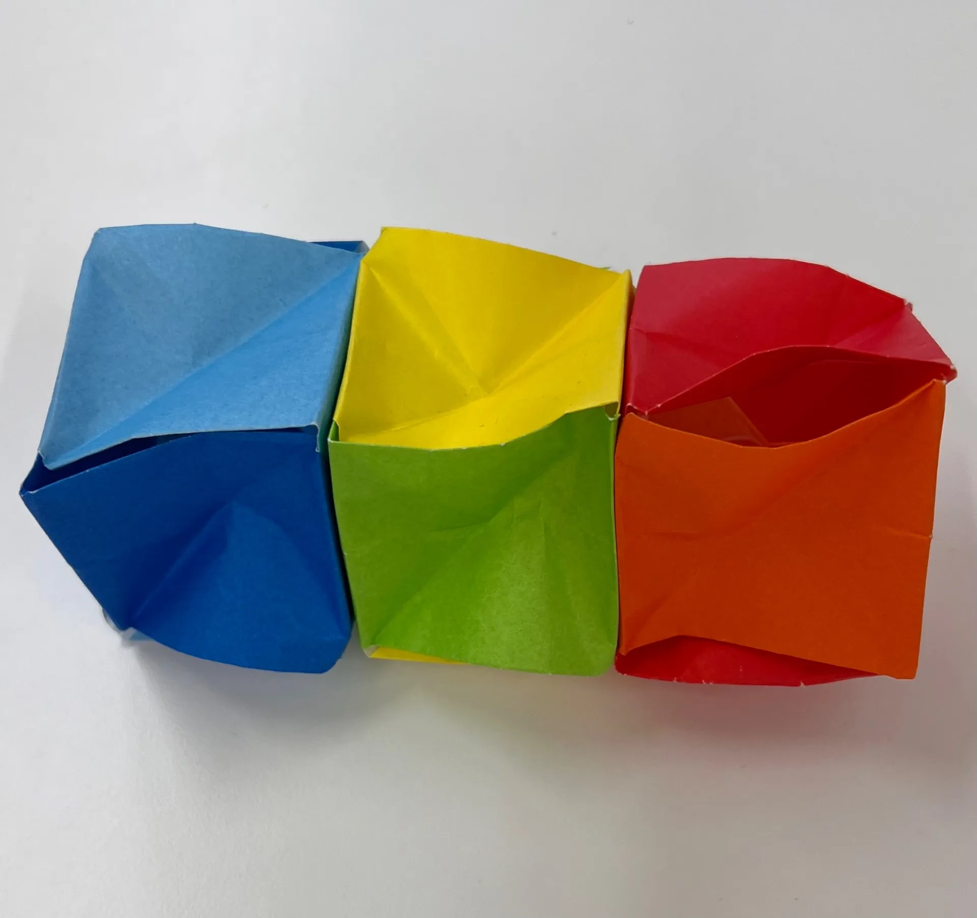 2024年度　小学５年生から