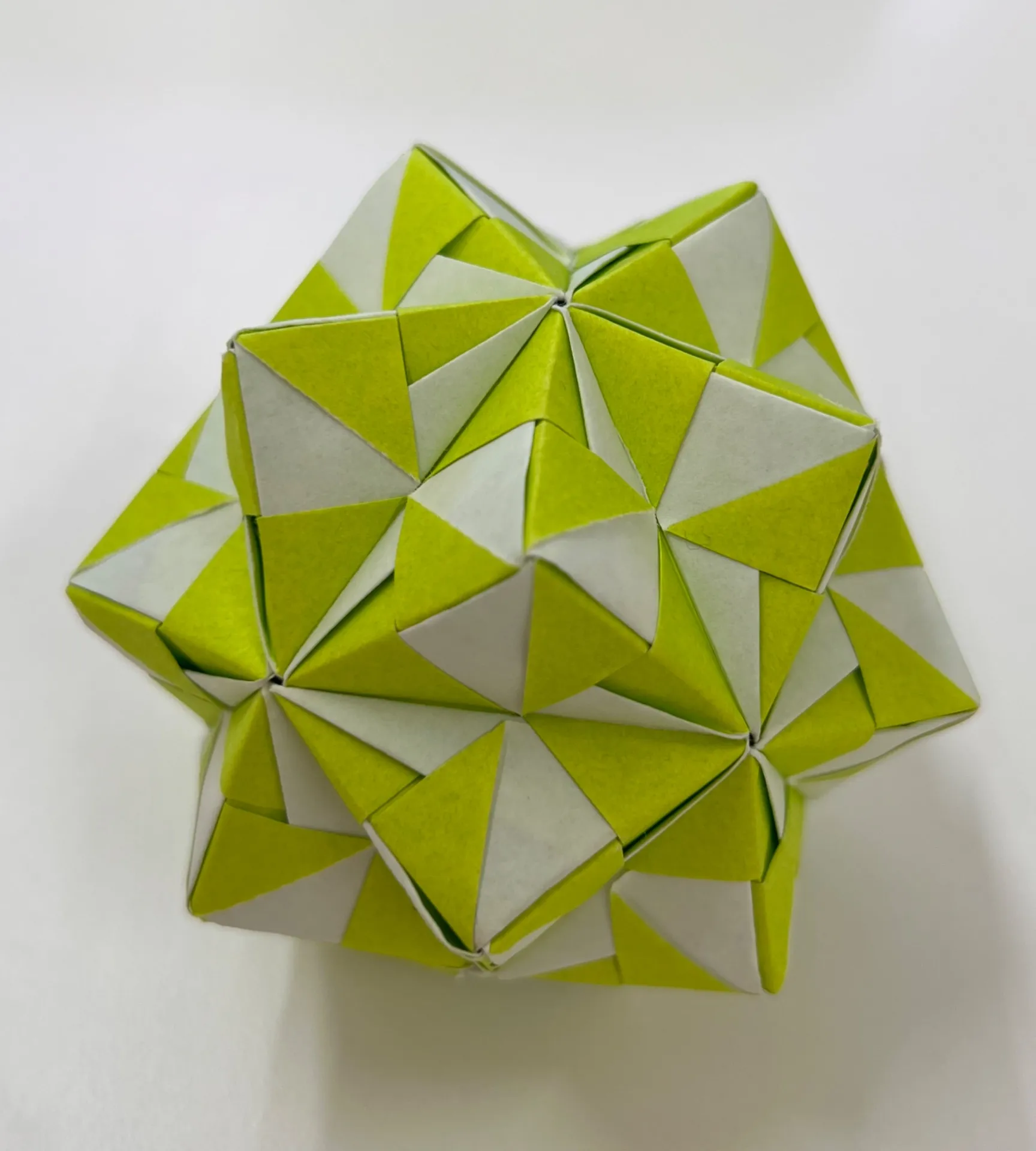 2025年度　小学５年生から